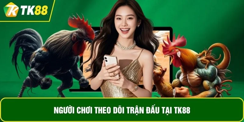Người chơi theo dõi trận đấu tại TK88 Người chơi theo dõi trận đấu tại TK88